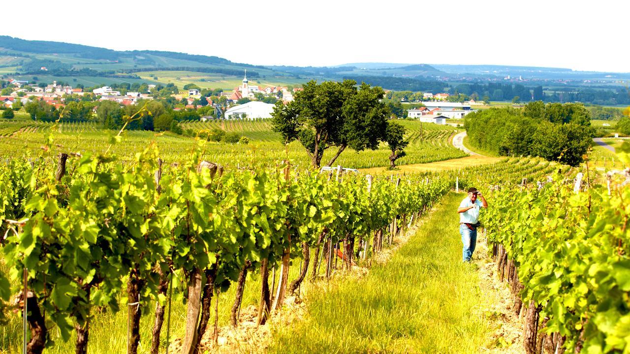 Iby-Lehrner Wein-Gut Und Wein-Traeumerei Horitschon Exterior foto